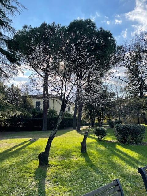 Giardini Baden Powell — Garden in Outer Florence · Florence