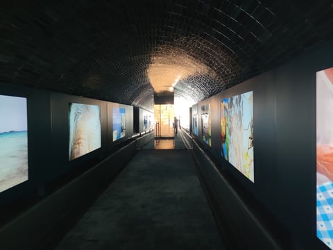 Rifugio Digitale - visit by appointment — Art gallery in Oltrarno · Florence