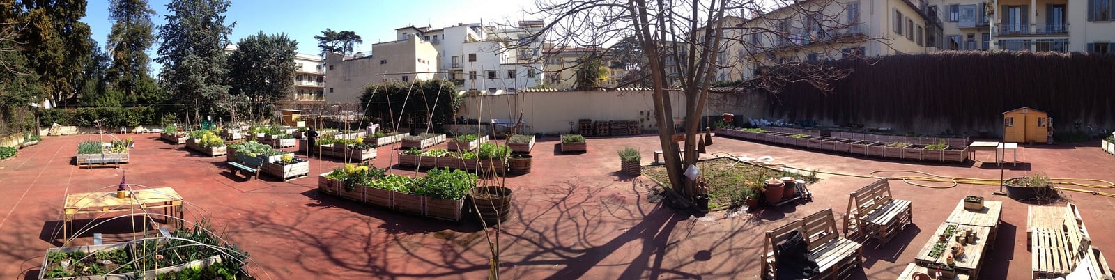 Orti Dipinti — Garden in San Marco, Florence