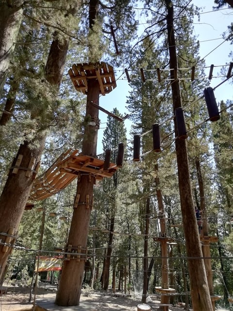 Vincigliata Adventure Park — Amusement park in Outer Florence · Florence