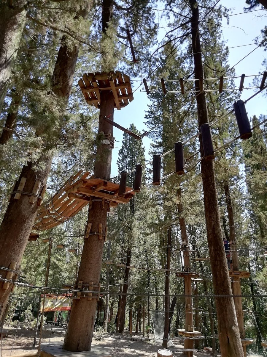 Vincigliata Adventure Park — Amusement park in Outer Florence, Florence