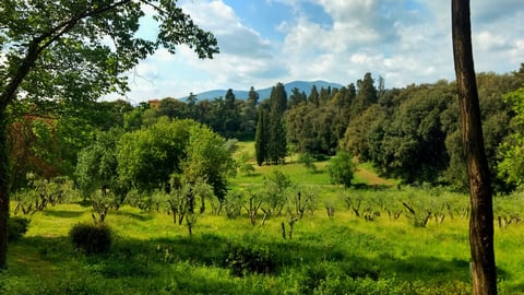 Villa Ruspoli — City park in Outer Florence · Florence