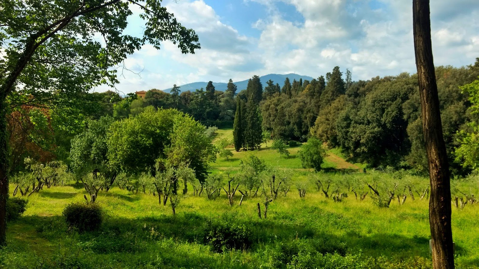 Villa Ruspoli — City park in Outer Florence, Florence