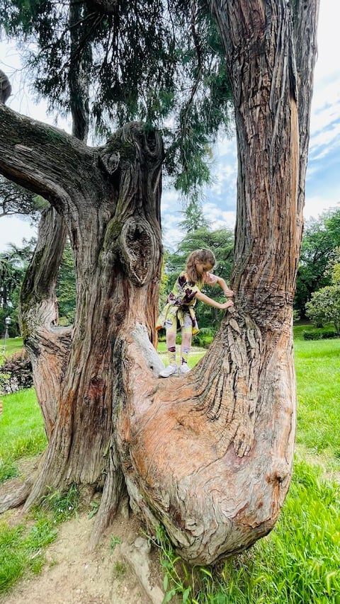 Giardino del Bobolino — Park in Oltrarno · Florence
