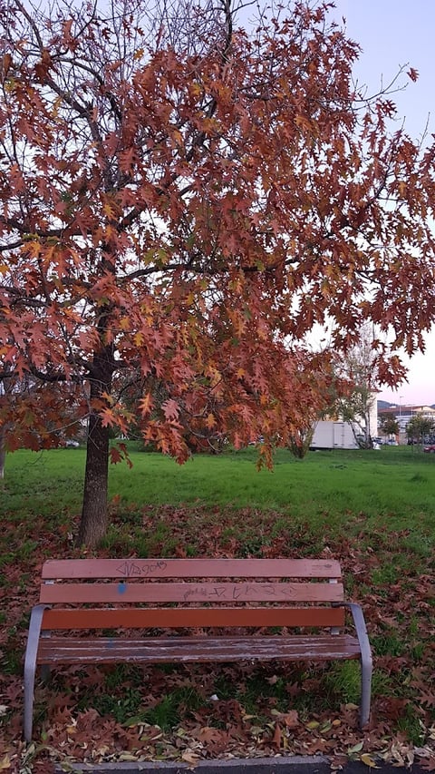 Giardino di via del Mezzetta — Park in Outer Florence · Florence