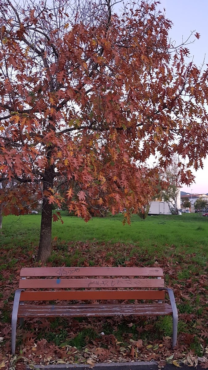 Giardino di via del Mezzetta — Park in Outer Florence, Florence