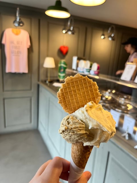 La Strega Nocciola Gelateria Artigianale - San Frediano — Ice cream shop in Oltrarno · Florence