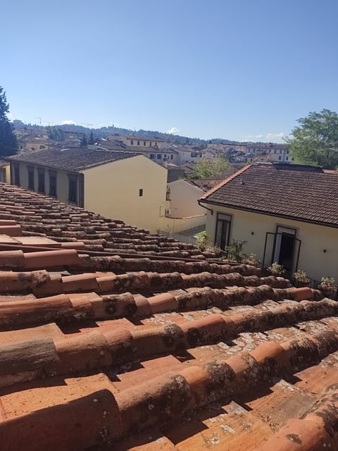 B & B Mia Palace — Bed and breakfast in Outer Florence · Florence