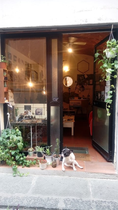 Ginevra Gemmi Jewellery — Jewelry store in Oltrarno · Florence