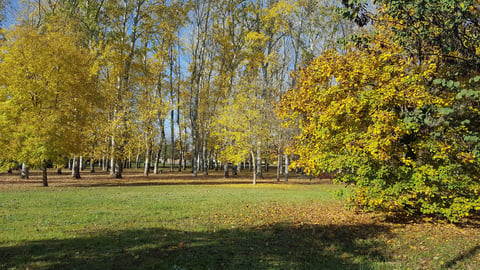 dell'Albereta Park - Pioppeta Galluzzo — Wildlife park in Outer Florence · Florence