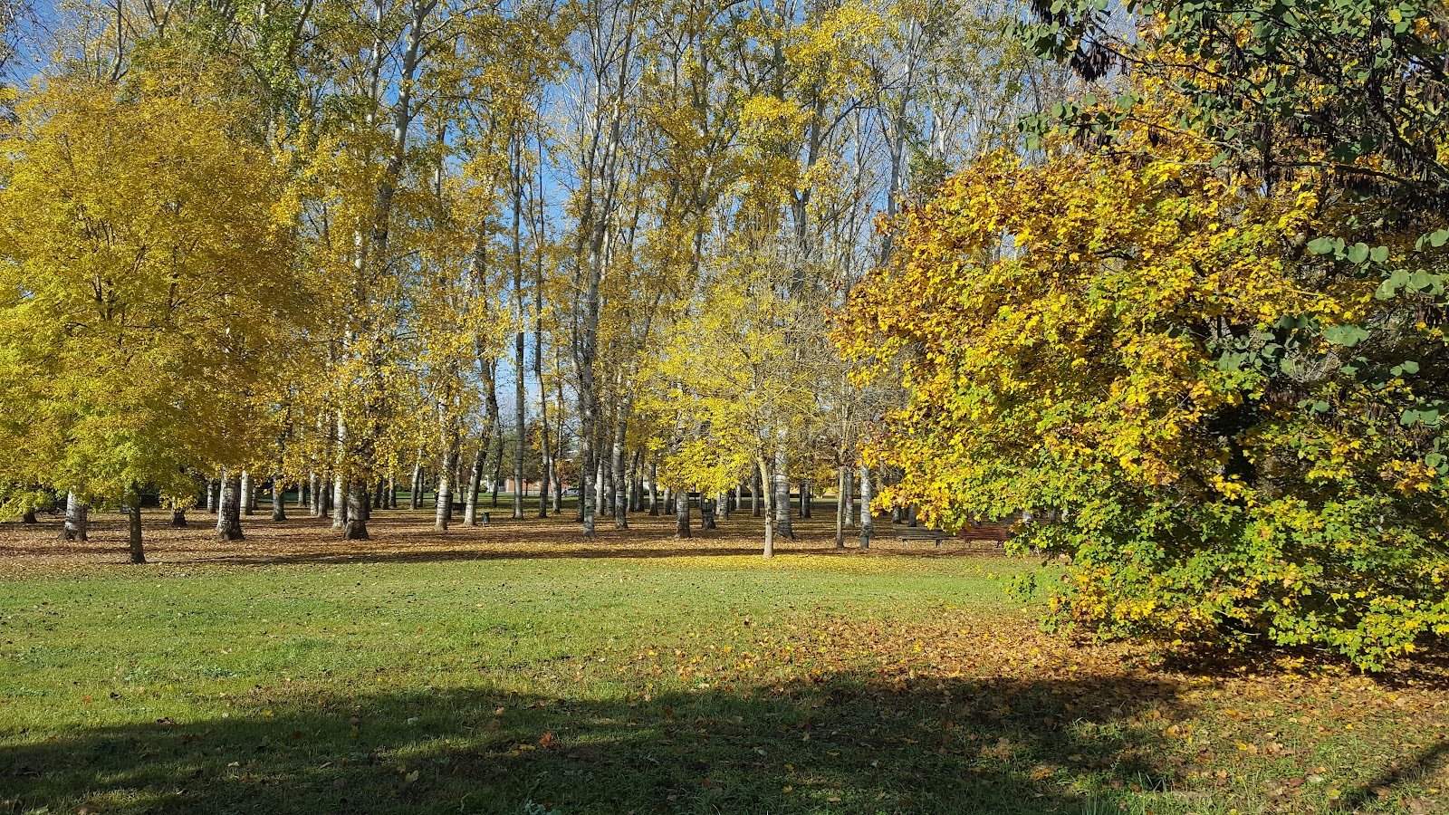 dell'Albereta Park - Pioppeta Galluzzo — Wildlife park in Outer Florence, Florence