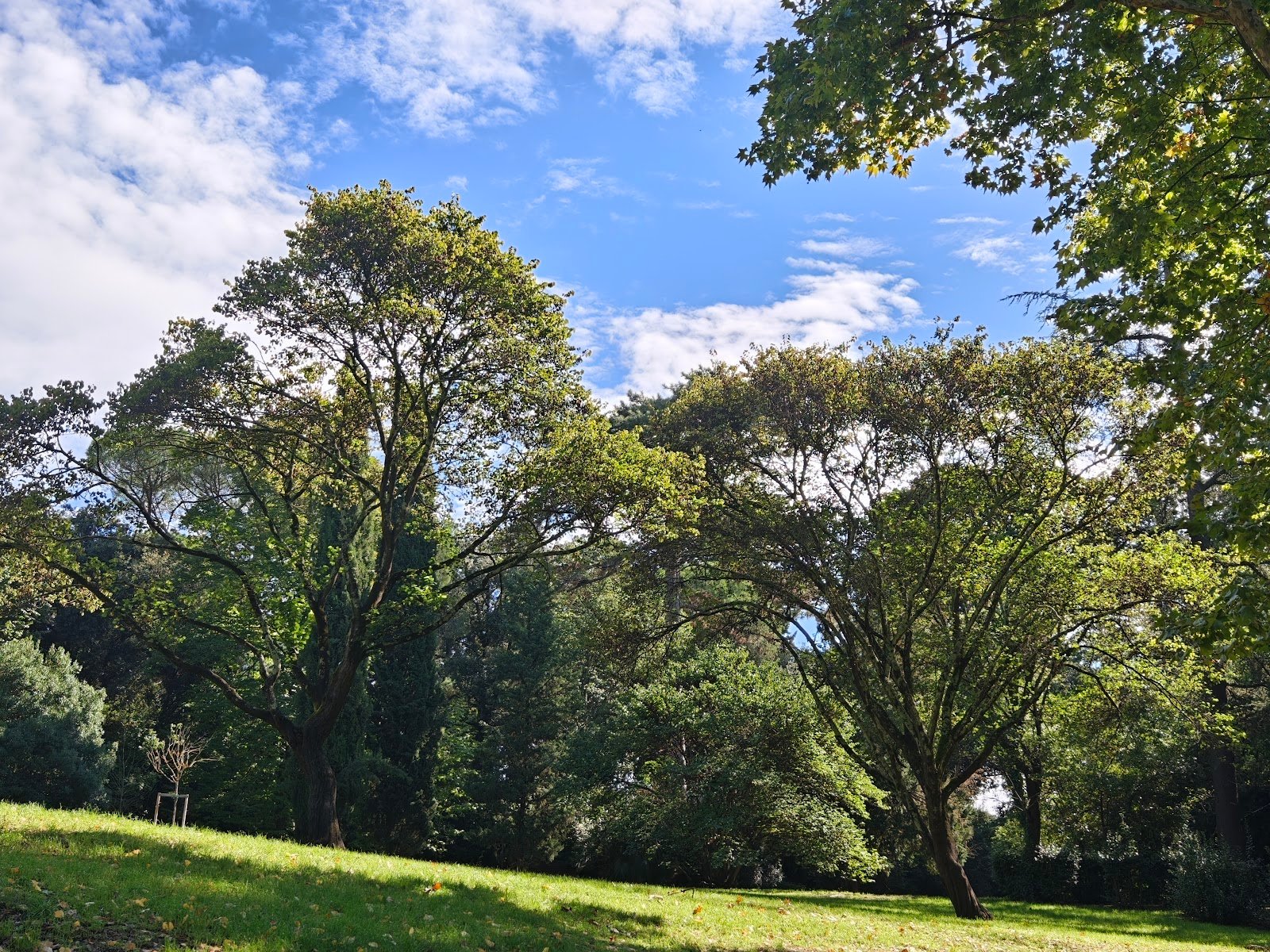 Boschetto — Park in Outer Florence, Florence