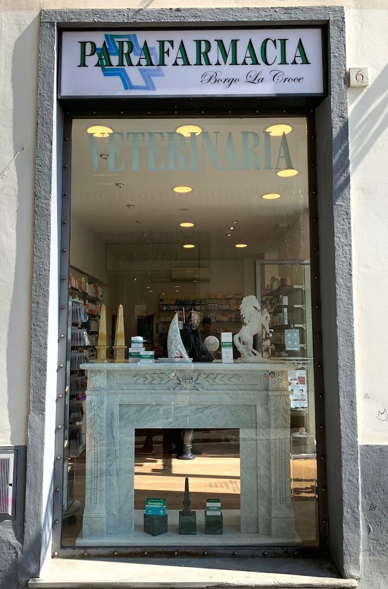 Pharma Florence — Store in Santa Croce, Florence