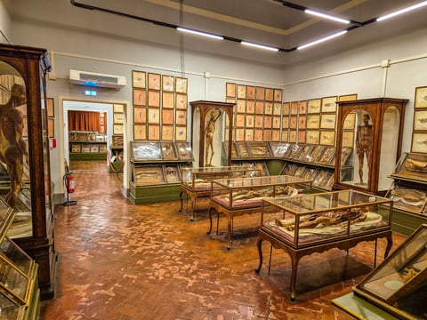 Museum of Natural History, La Specola — Museum in Oltrarno · Florence