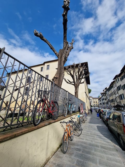 Giardino Alessandro Chelazzi — Garden in Santa Croce · Florence