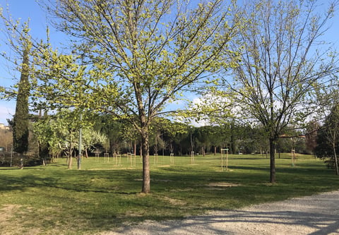 Area Pettini Burresi — Park in Outer Florence · Florence