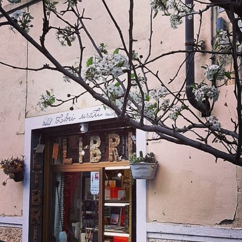 Libri e vecchi ricordi (no libri scolastici) — Book store in Outer Florence · Florence