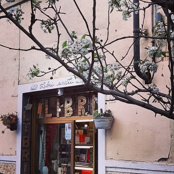 Libri e vecchi ricordi (no libri scolastici) — Book store in Outer Florence, Florence