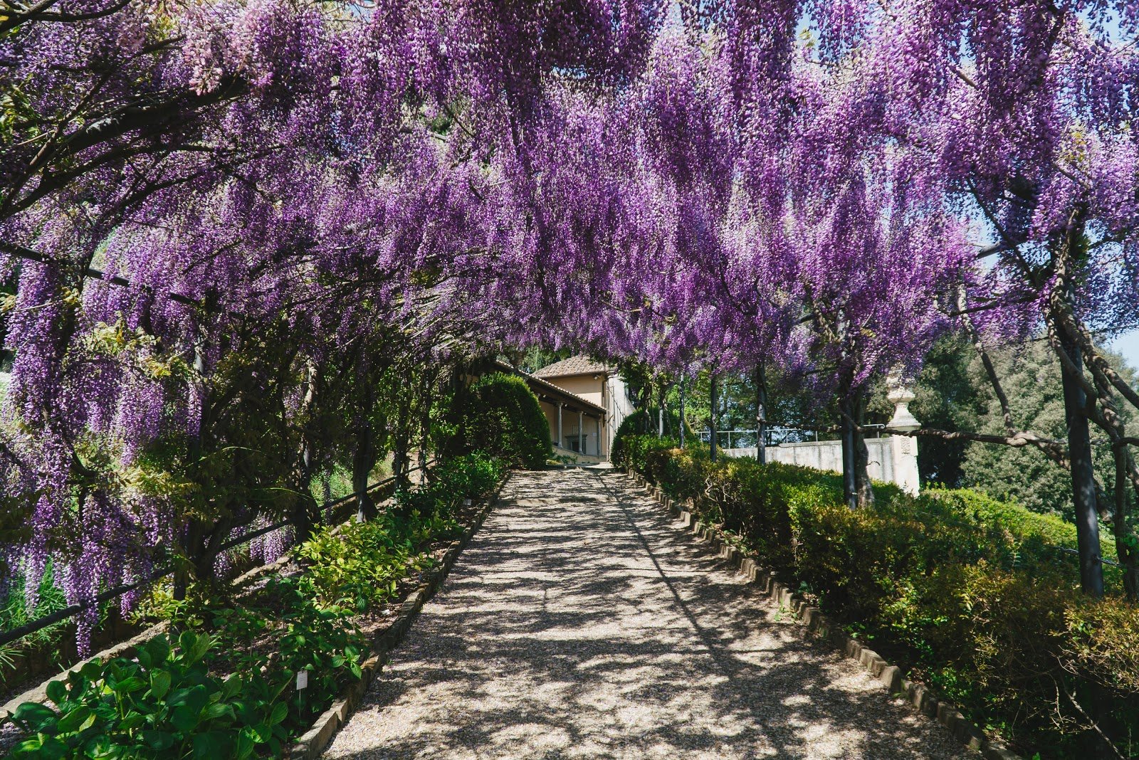 Villa Bardini — Museum in Oltrarno, Florence