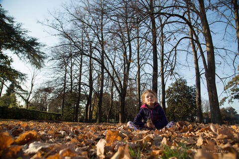 Parco di Villa Favard — City park in Outer Florence · Florence