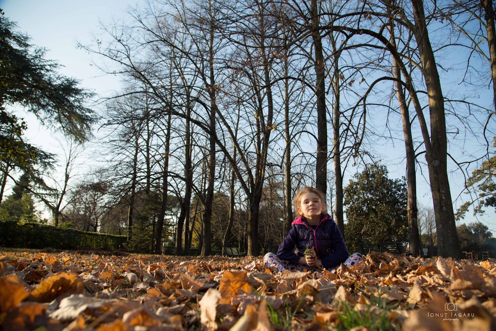 Parco di Villa Favard — City park in Outer Florence, Florence