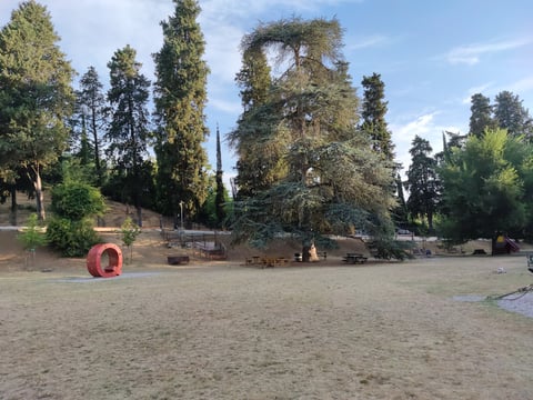 Area Cani Carraia — Dog park in Oltrarno · Florence