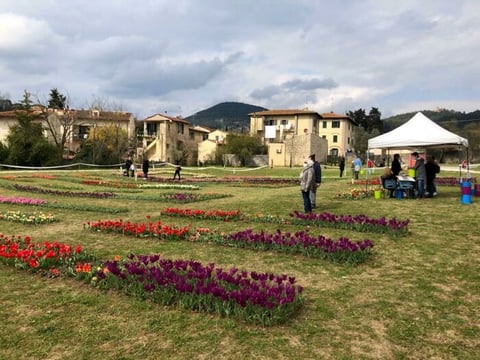 Parco del Mensola — Park in Outer Florence · Florence