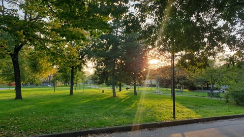 Lippi's park — Park in Outer Florence · Florence