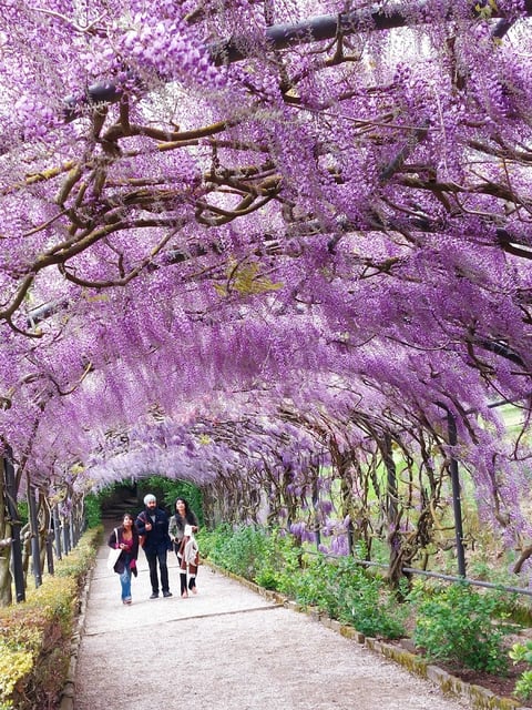 Giardino Bardini — Garden in Oltrarno · Florence