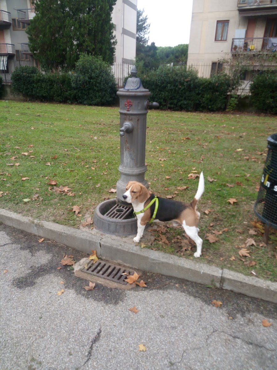 Parco Giochi Delle Muse — City park in Outer Florence, Florence