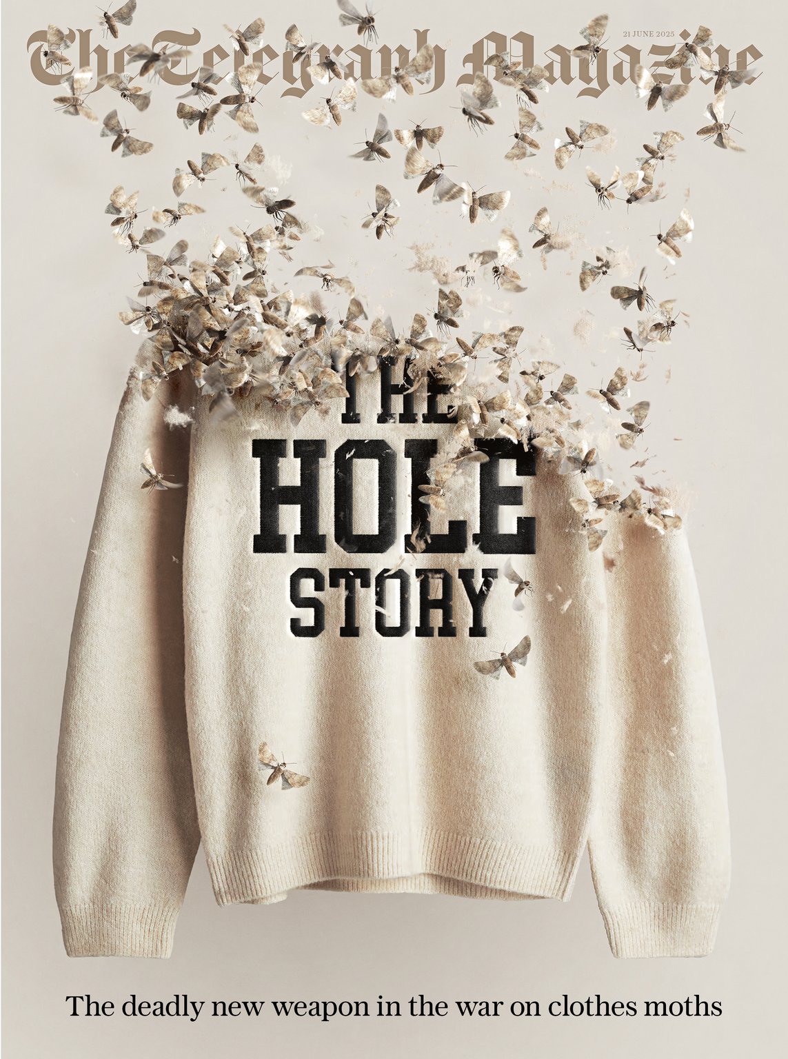 Justin Metz The Hole Story