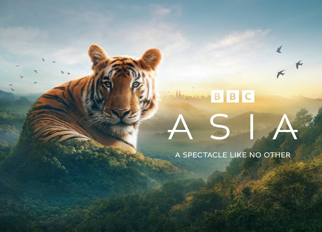 Justin Metz Asia / BBC