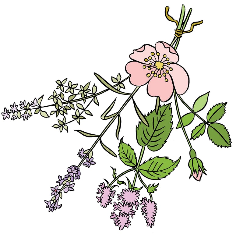 Stephanie Strickland Stephanie-Strickland-Herbs
