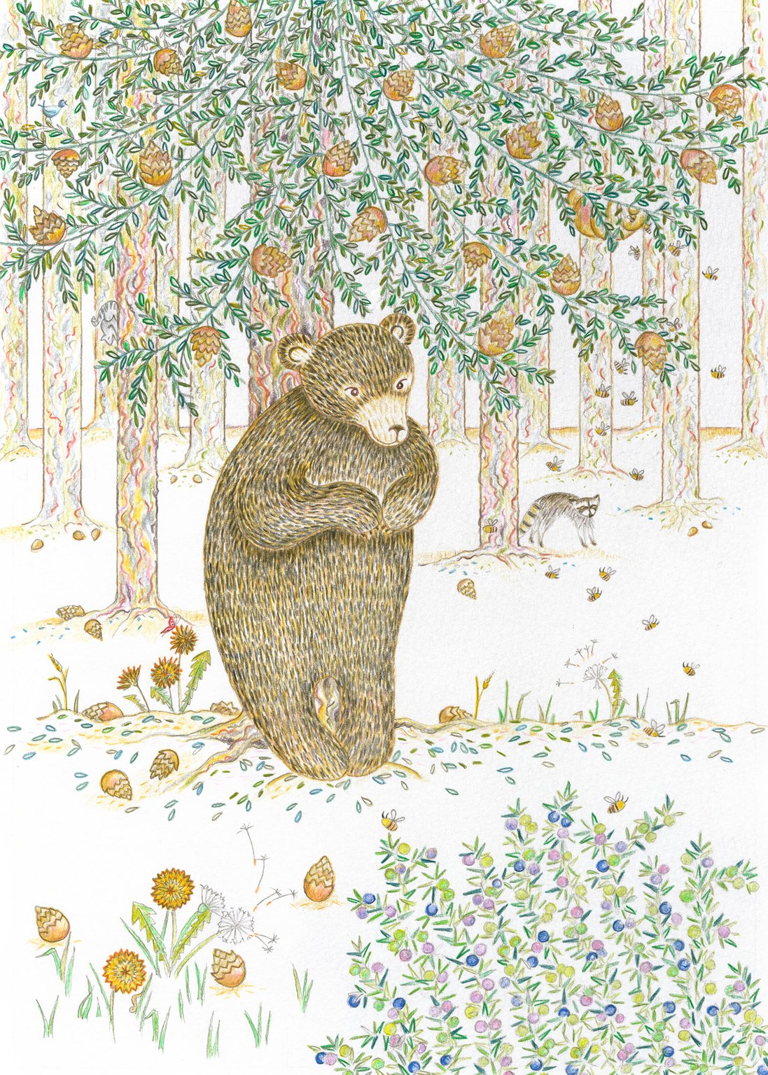 Jacky Rough Black Bear