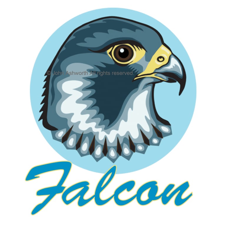 John Ashworth Falcon Logo Brand copyright John Ashworth