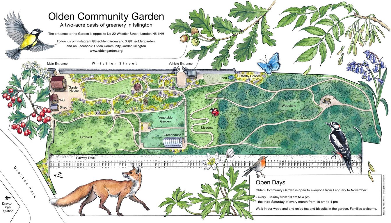 Petra Kneile illustrated map for Olden Community Garden