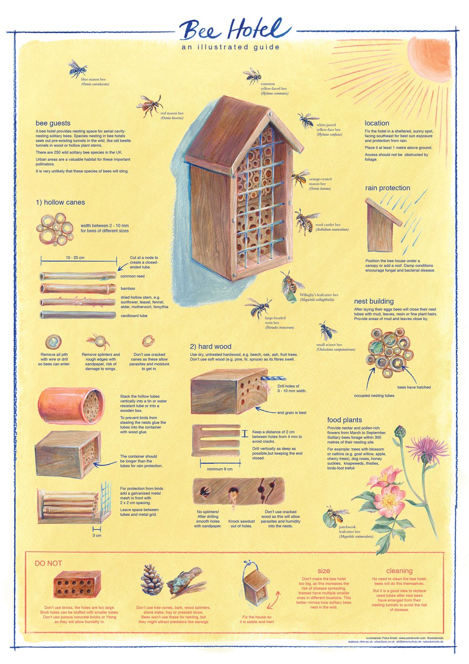 Petra Kneile bee hotel