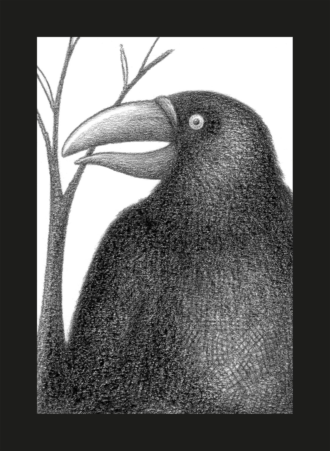 Richard Lowdell RAVEN