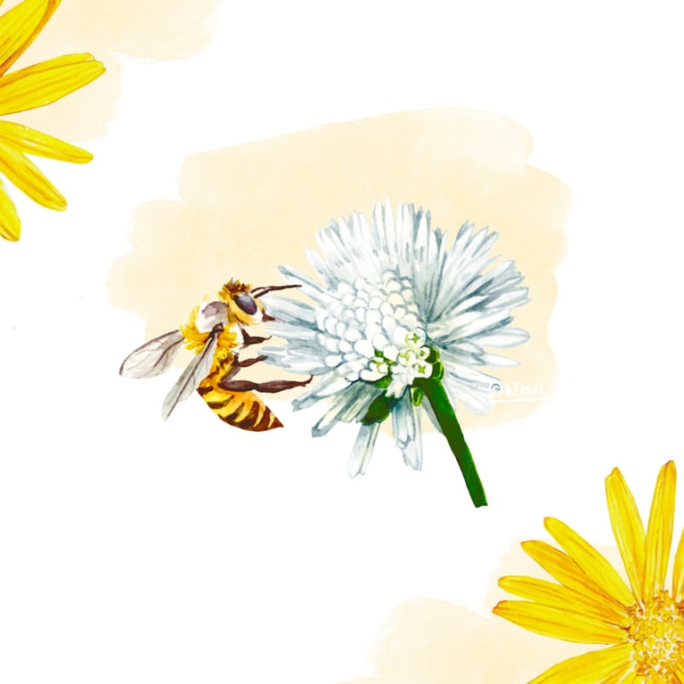 Katherine Tromans Botanicals, Bee