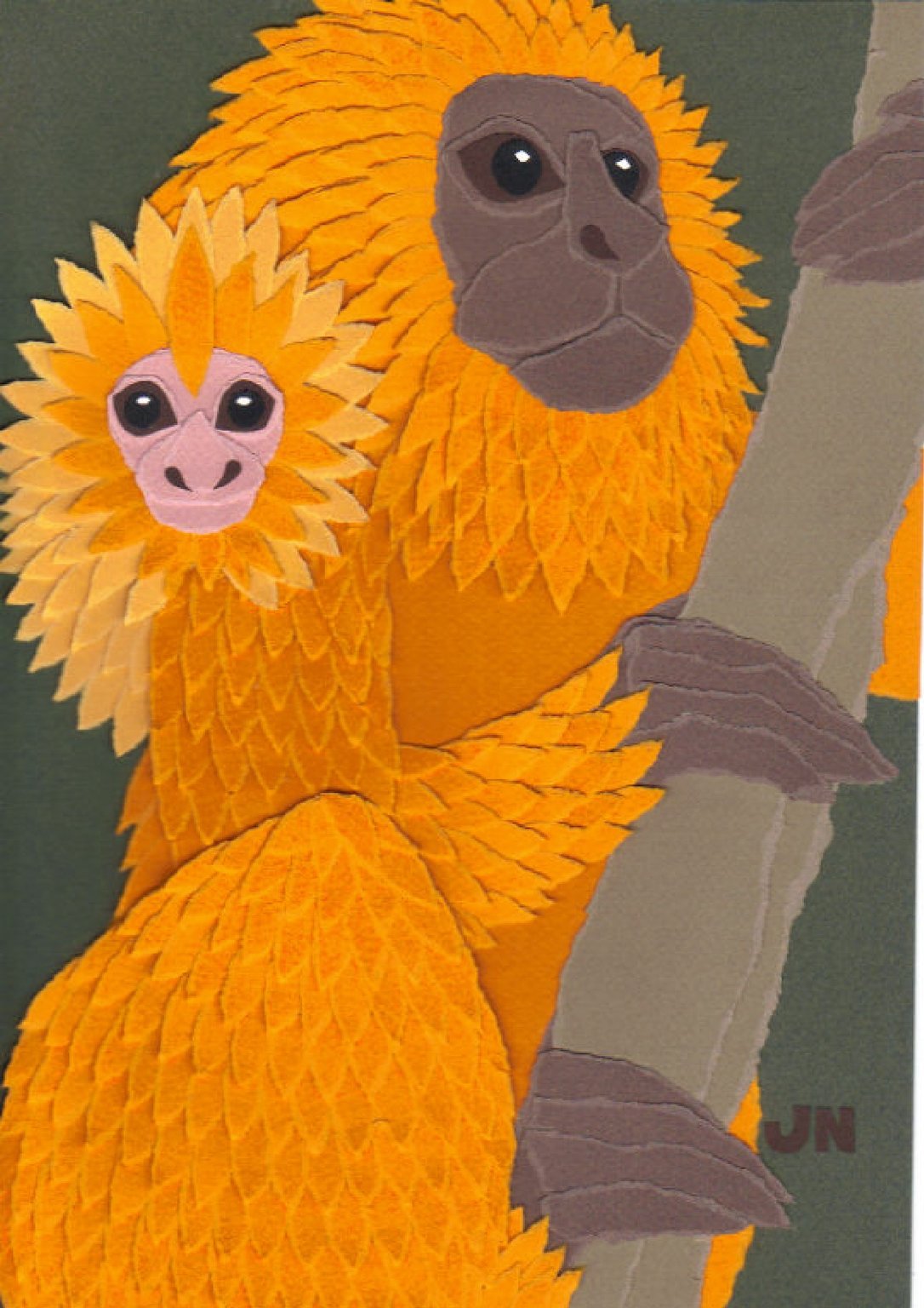 Janice Nicolson Golden Lion Tamarin Monkeys