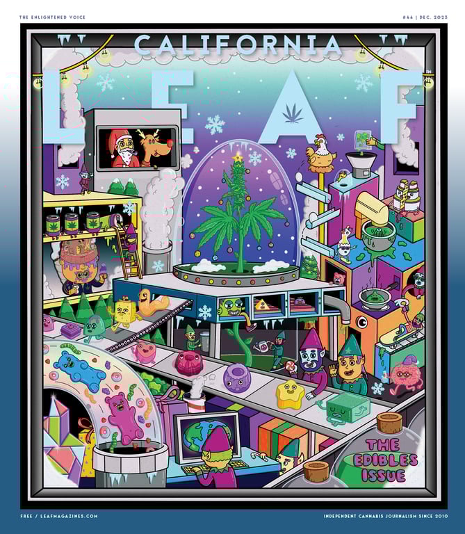 Daniel Sulzberg CaliforniaLeaf_Dec2023_1_cover(1) copy
