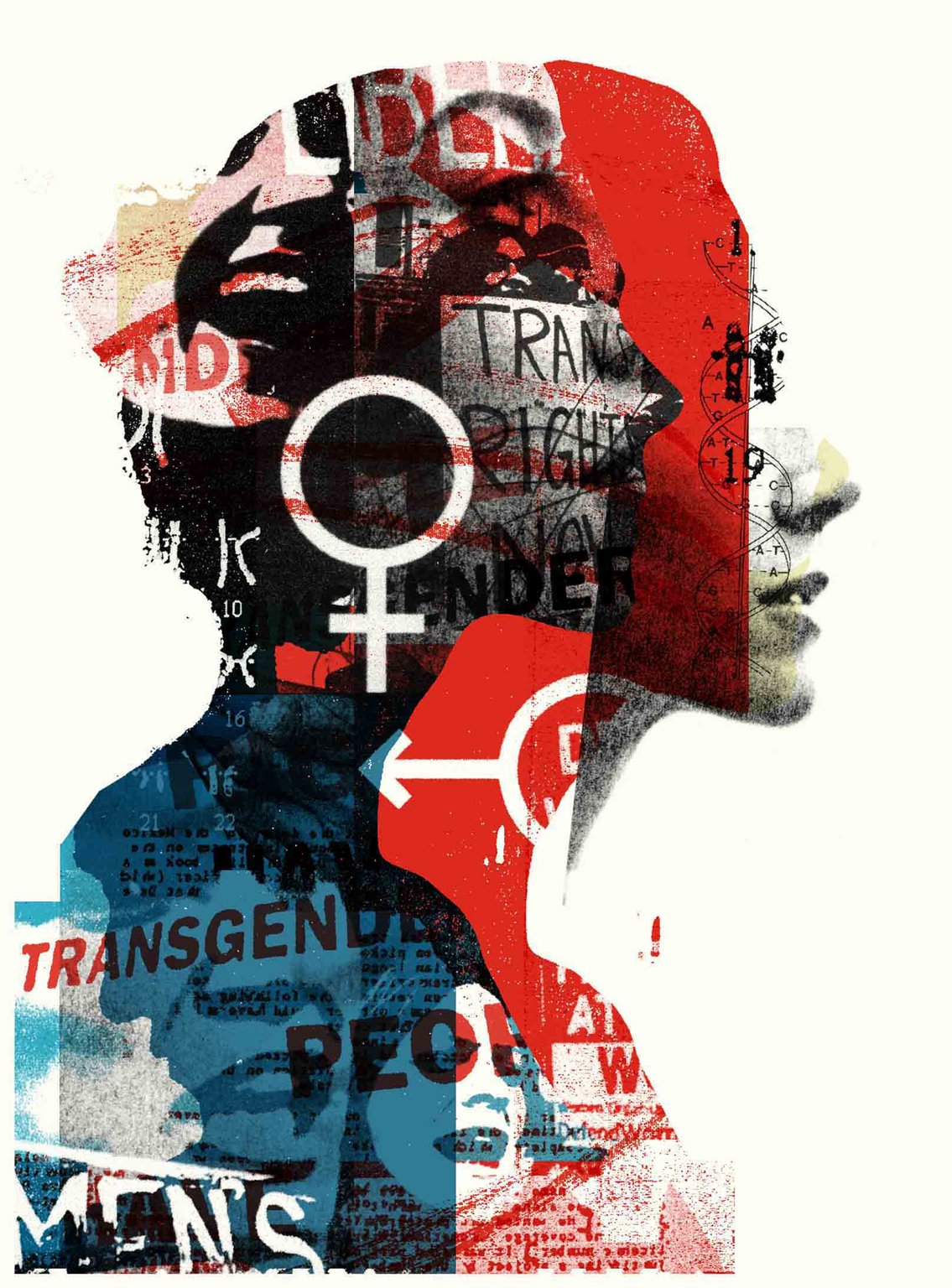 Alex Williamson Transgender / The New Yorker