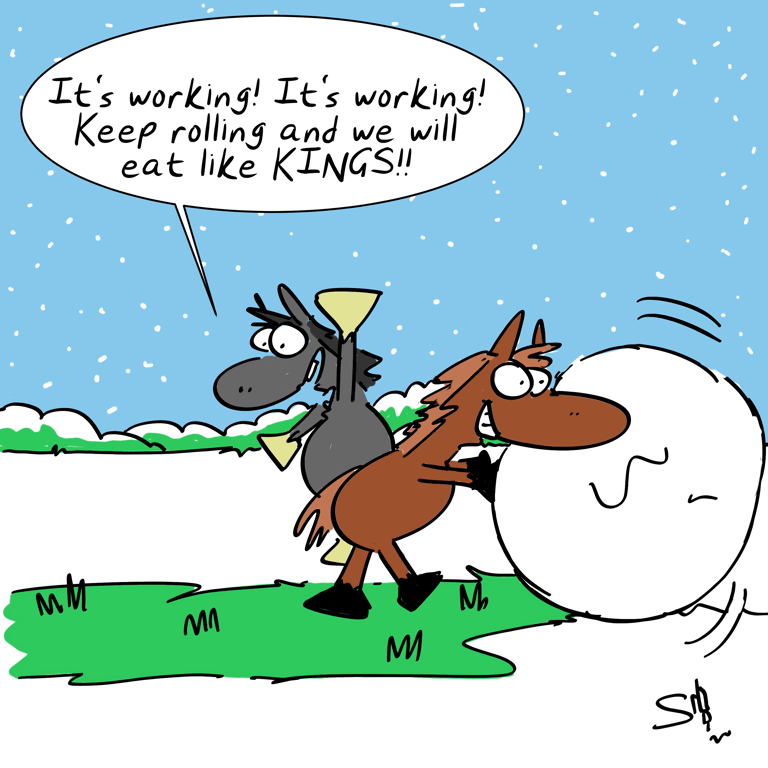 Spencer Hill Equestrian Cartoon 2