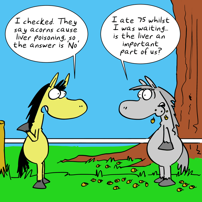 Spencer Hill Equestrianb Cartoon 3
