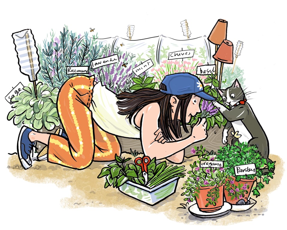 Karen Donnelly herb garden