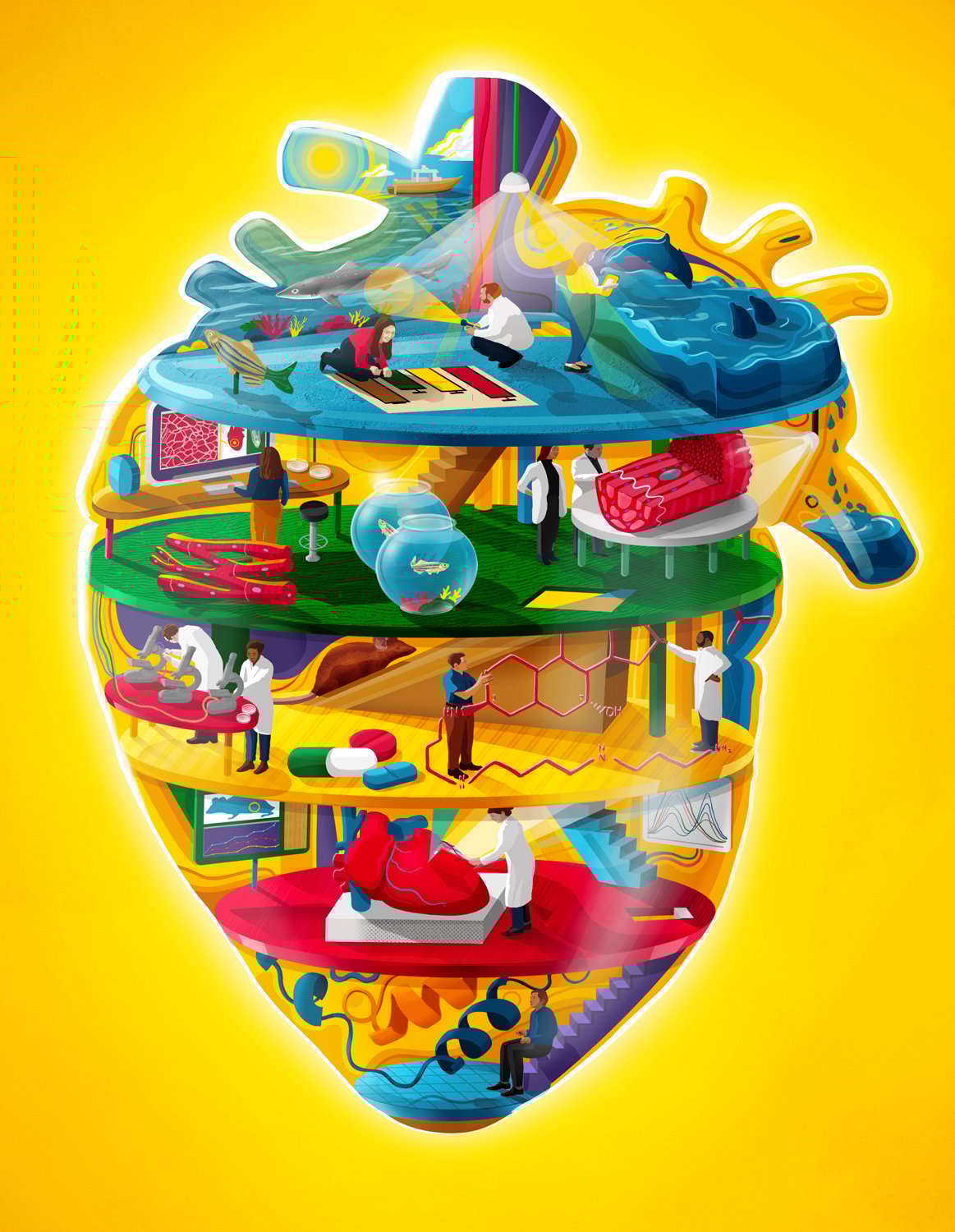 Sam Falconer Regenerative Medicine for Scientific American