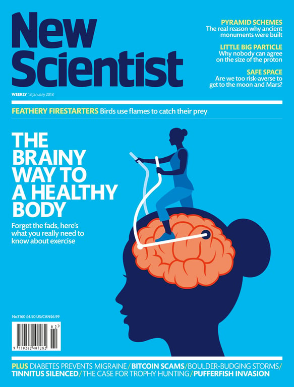 Patrick George Exercising Your Brain / New Scientist