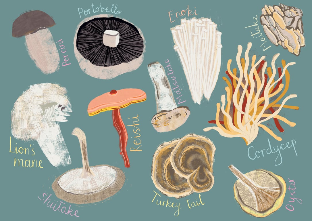 Tasha Goddard MushroomsPrint