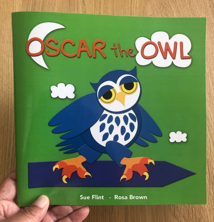 Flontiere/Rosa Brown Oscar The Owl. Client: Sue Flint Author