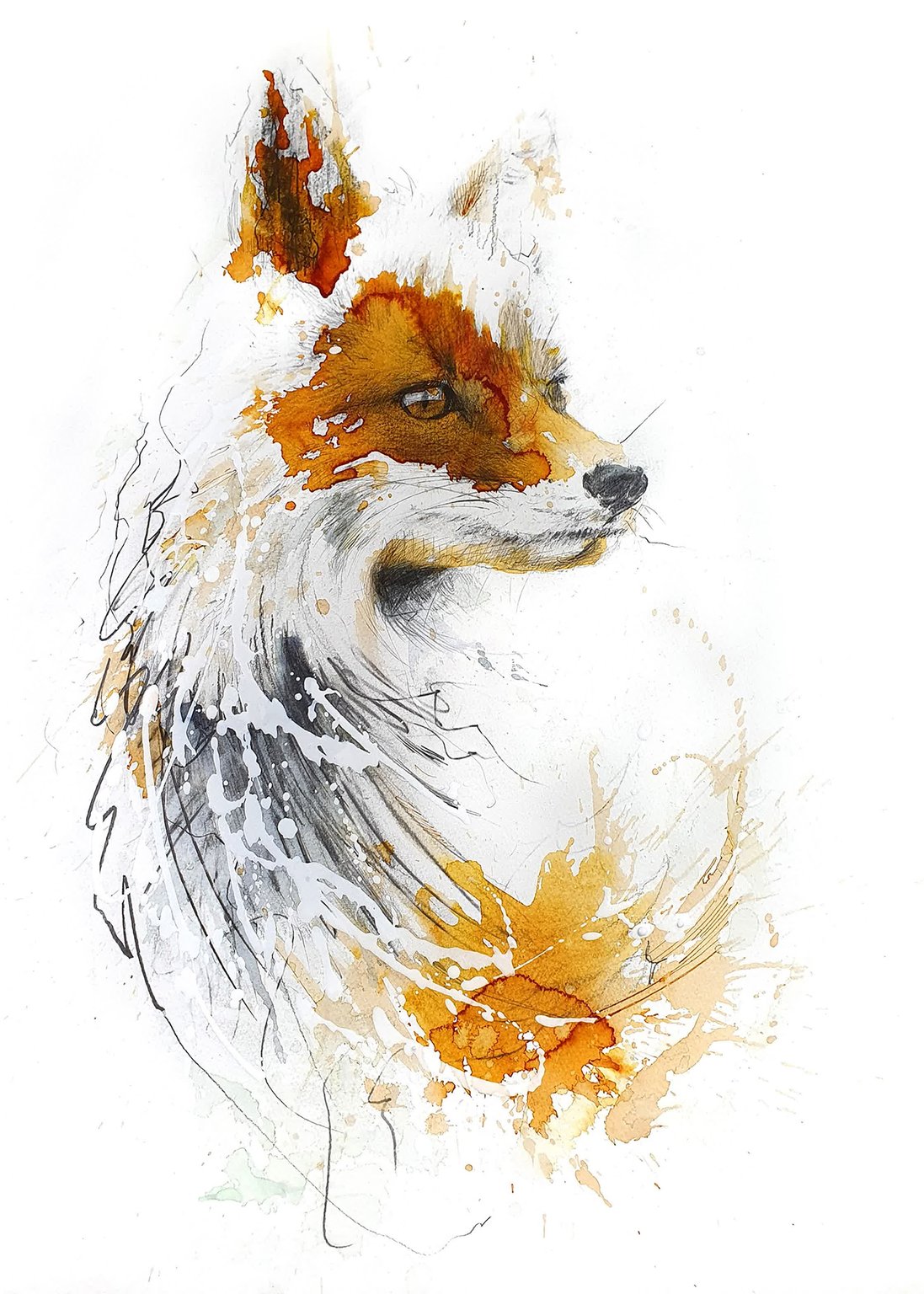 Carne Griffiths 85351_full-retina